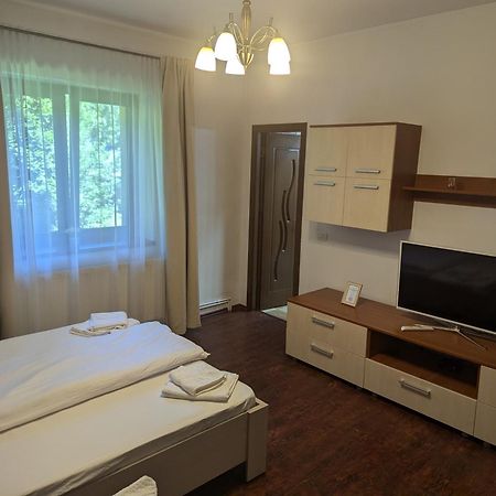 Villa Casa Alex Văliug Esterno foto