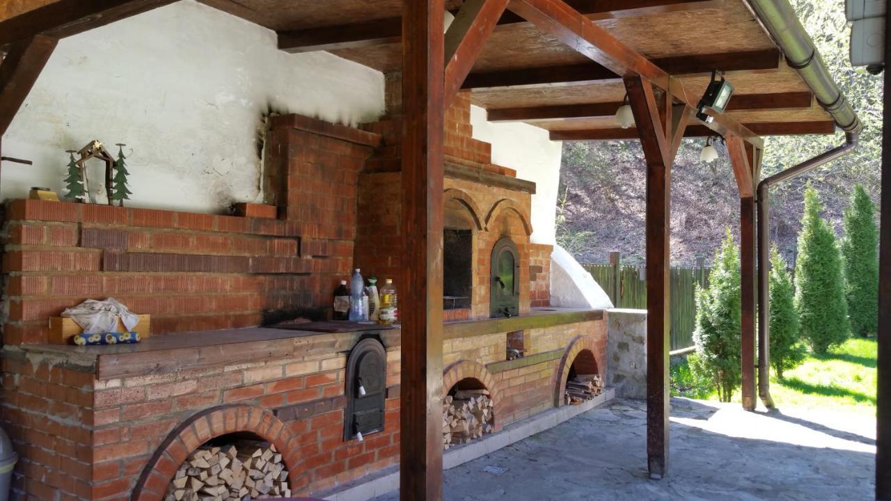 Villa Casa Alex Văliug Esterno foto
