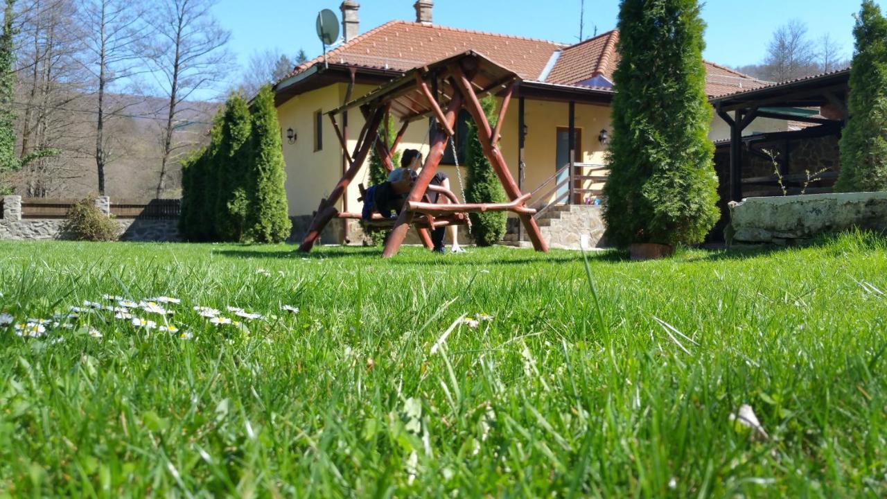 Villa Casa Alex Văliug Esterno foto
