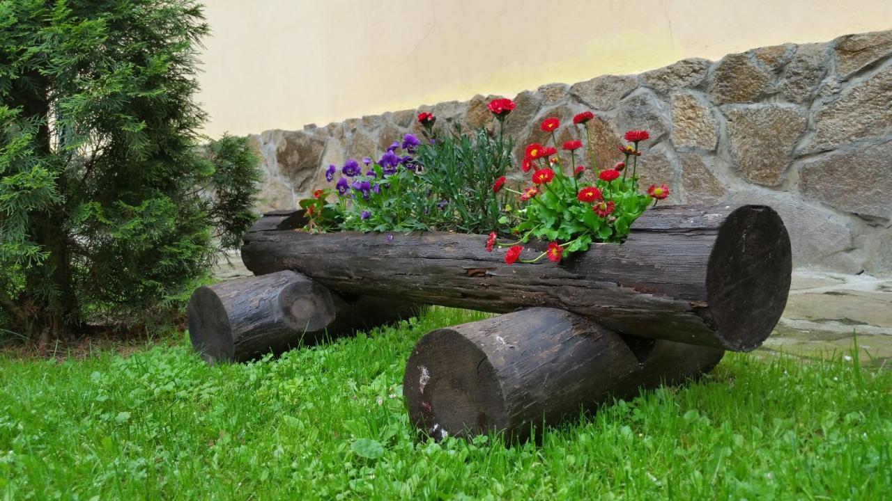 Villa Casa Alex Văliug Esterno foto