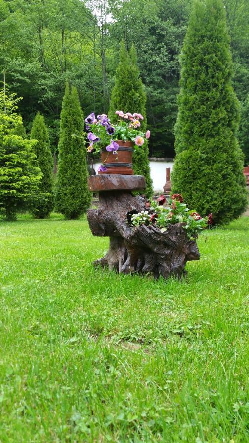 Villa Casa Alex Văliug Esterno foto