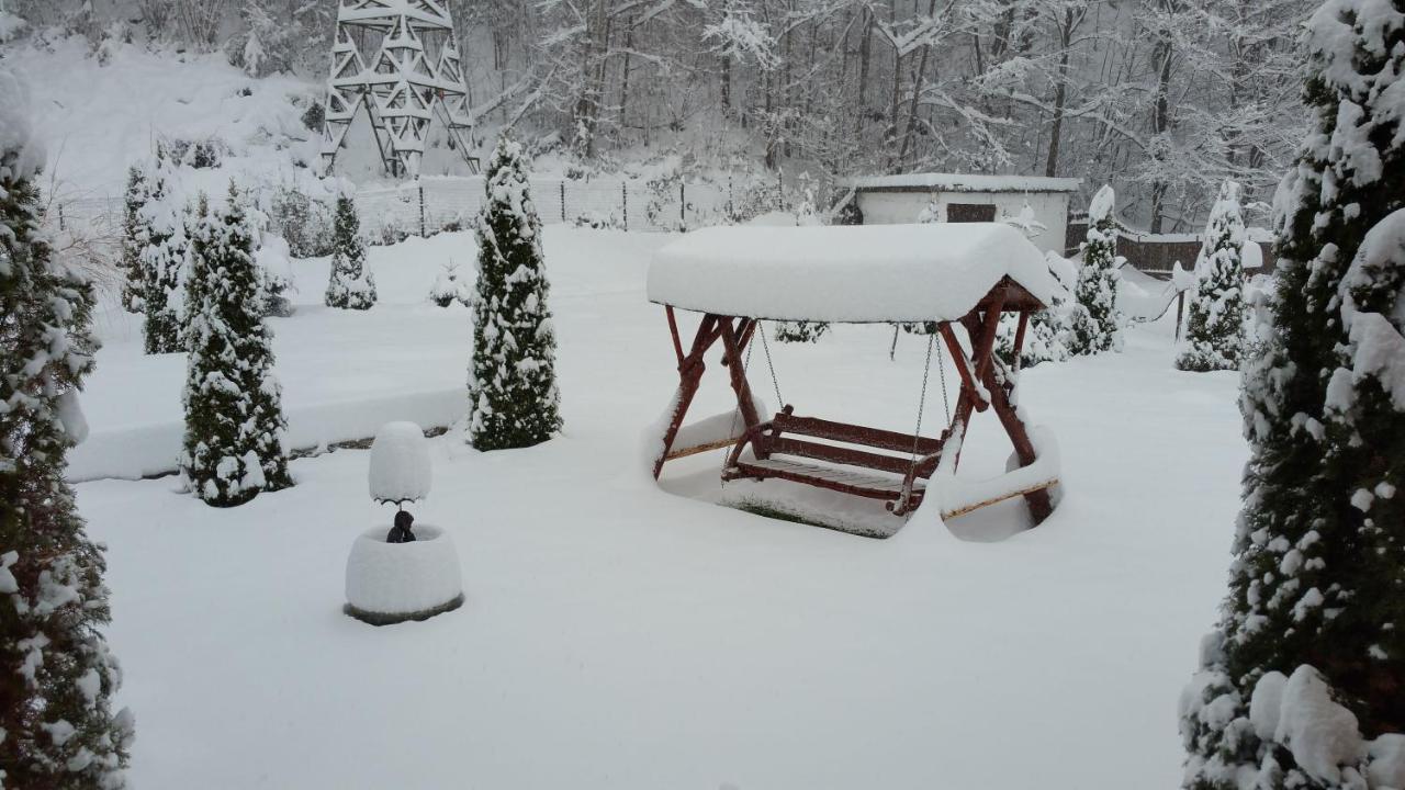 Villa Casa Alex Văliug Esterno foto