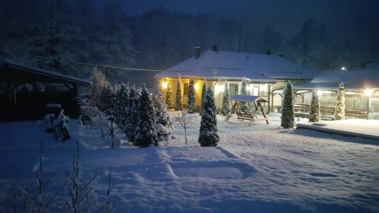 Villa Casa Alex Văliug Esterno foto