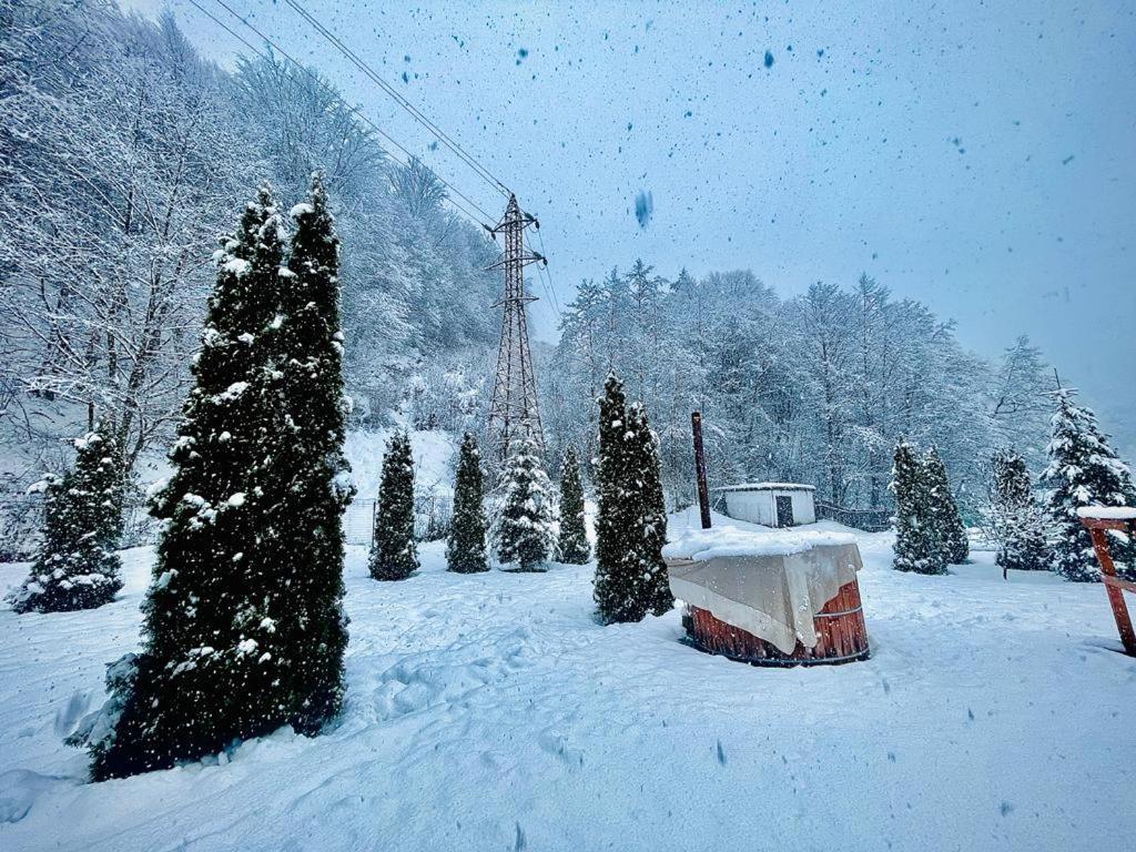 Villa Casa Alex Văliug Esterno foto
